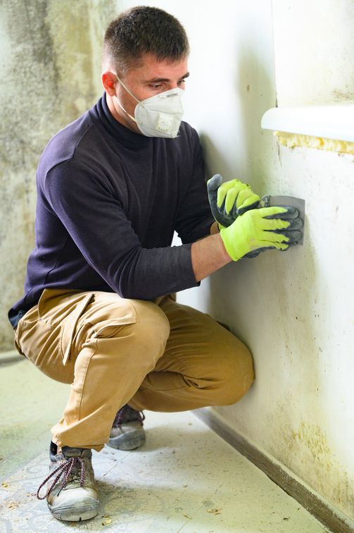 Mold Removal